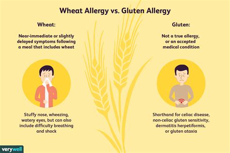 Is wheat allergy the same as gluten intolerance